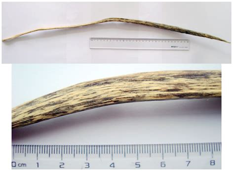 Characterization and Determination of 2-(2-Phenylethyl)chromones in ...