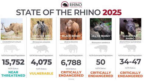 Celebrating World Rhino Day 2025International Rhino Foundation