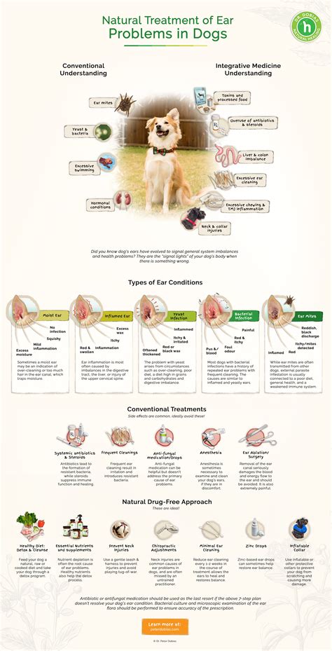 treatment for rabbits