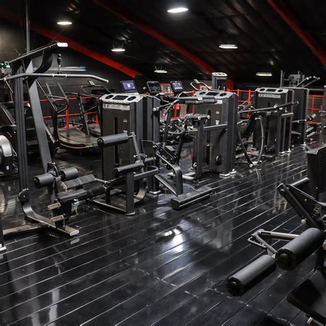 Gym Equipment 的图像结果