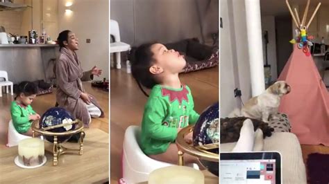 Hectic Yet Hilarious Viral Video Shows How Chaotic Quarantine Life Is ...