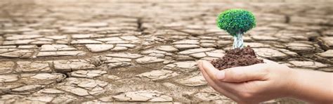 Land Degradation Neutrality Certification Standard