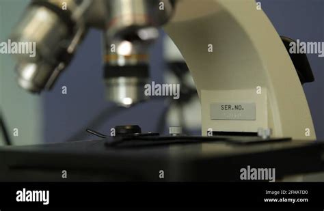 Image result for Microscope Slides Animation