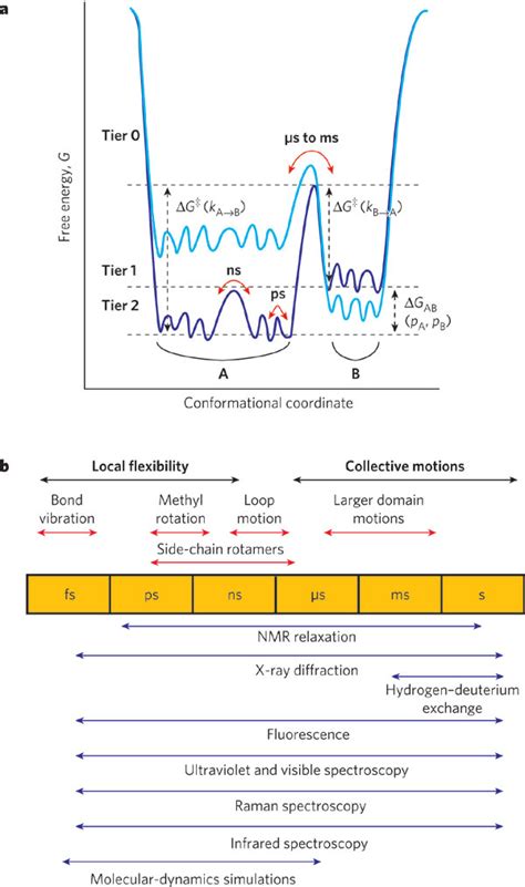 Protein Evolution Landscape 的图像结果