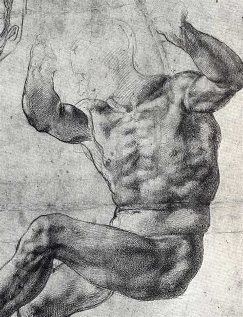 Image result for michelangelo anatomy studies