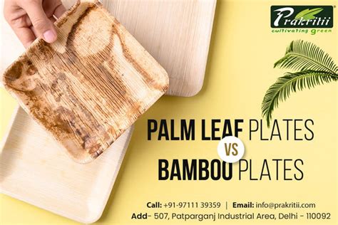 Palm Leaf Plates vs Bamboo: Which Eco-Friendly Option is Right for You ...