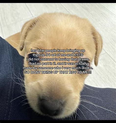 Controversy Over Rule 34 Art and Consent Issues | TikTok