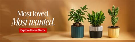 Claymistry: Online Ceramic Shop for Handcrafted Ceramics