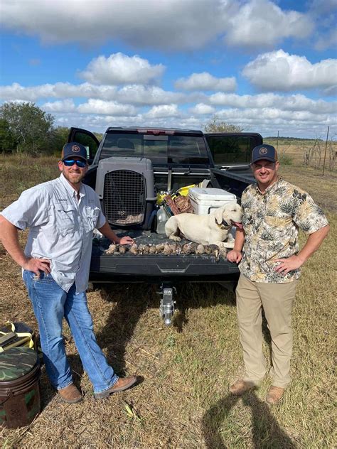 Dove Hunting in Texas | Texas Hunting Leases by Rawhide Ridge Hunts
