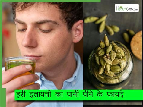 गर्मियों में पेट में बनती है गैस तो रोज पिएं हरी इलायची का पानी, इन ...