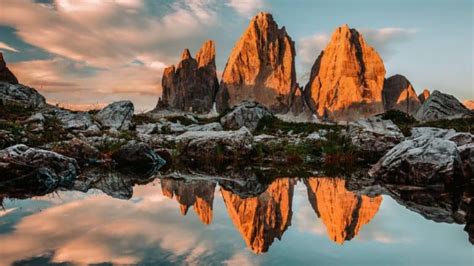 World Nature 的图像结果