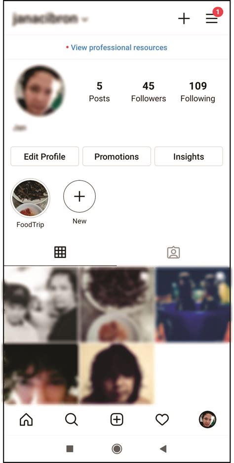 Instagram Profile Page Iphone