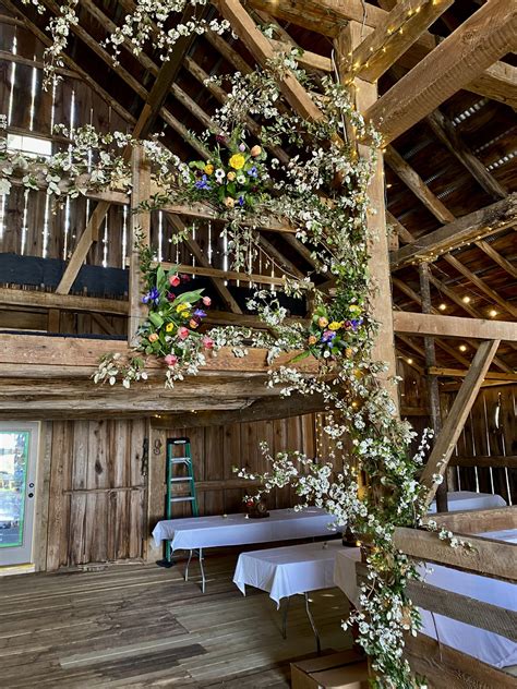 Elaeagnus Vines | SouthernSmilax.com