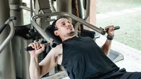 Chest Press Machine Exercise 的图像结果