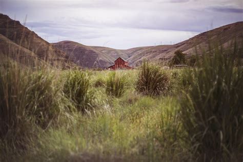 ? TAGLIAERBA MANUALE BOSCH ? Ecco i 2 Migliori Modelli Sul  