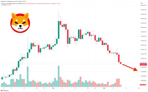 Decoding the Shiba Inu Price: What's It Worth Today?