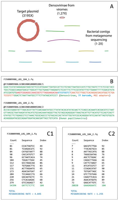Analysis of Software Read Cross-Contamination in DNBSEQ Data