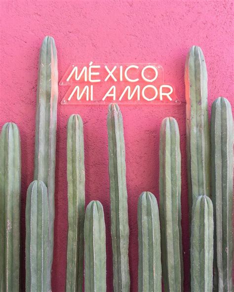 méxico mi amor | Instagram, Brief