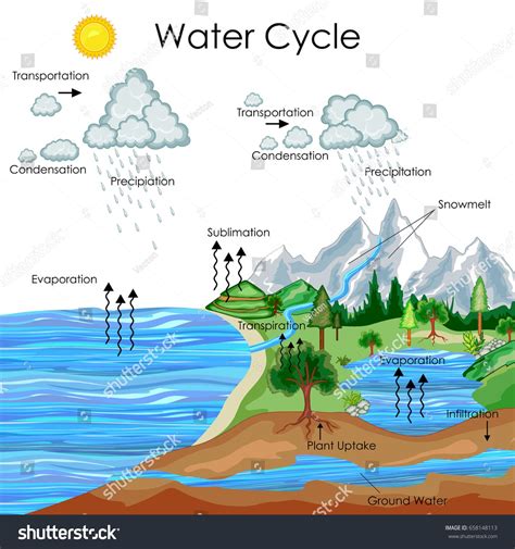Runoff Water Cycle Plant