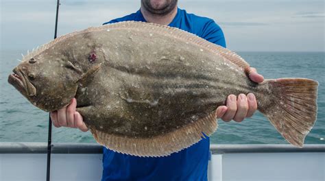 New Jersey Announces Fluke Regulations - Season Opens Tomorrow! - On ...