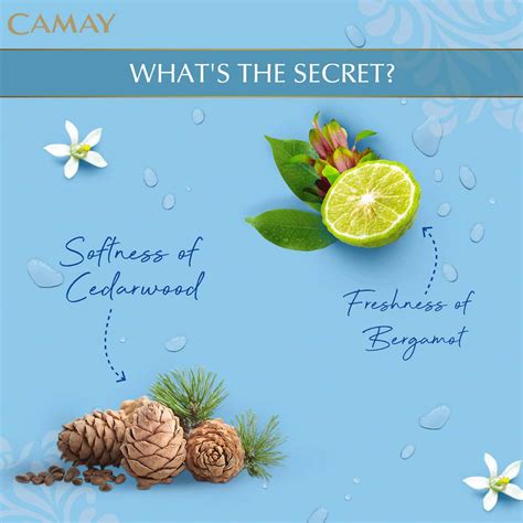 Buy CAMAY CLASSIC CARNATIONS & ROSES BEAUTY SOAP COMBO PACK -125*5 ...