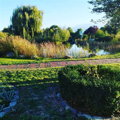 THE WILLOW (Kotschlitz, Alemania): reseñas y precios 2025