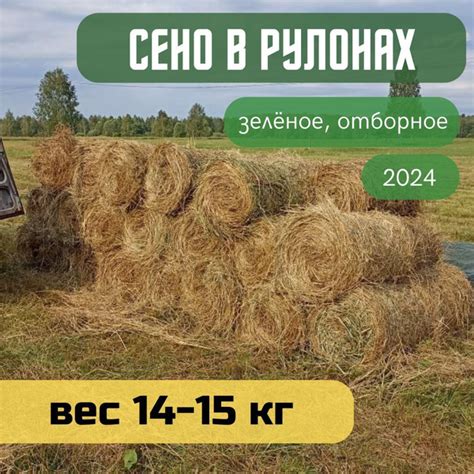 Сено луговое, рулон 14-15 кг, отборное, зеленое для грызунов и других ...