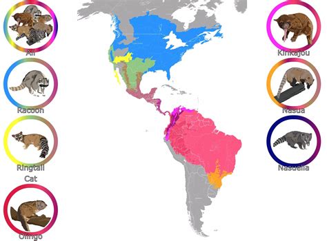Raccoon Family Habitat Map : r/mapporncirclejerk