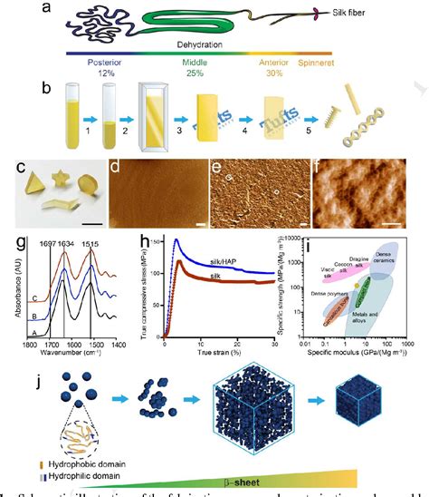 Image result for Silk Polymerization
