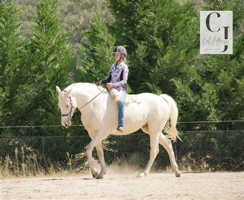 Classical Dressage Lesson Day - Pegasus RDA Holt , Pegasus Riding for ...