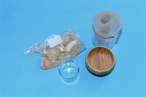 Image result for Digestive Model Tutorial