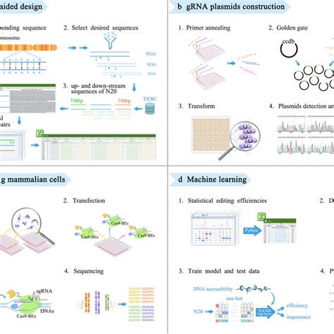 Gene Editing Machine 的图像结果