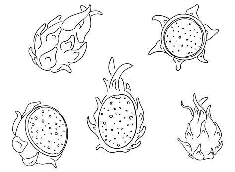 20+ Dragon Fruit Coloring Pages - Free Printable PDF & Online Coloring