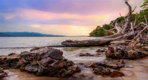 Chidiya Tapu in the Andamans: Not your usual wildlife destination ...