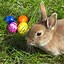 Image result for Scary Easter Bunny Origin
