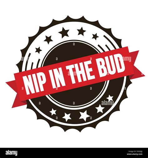 NIP IN THE BUD text on red brown ribbon badge stamp Stock Photo - Alamy