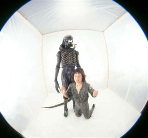 Alien Meme Vid 的图像结果