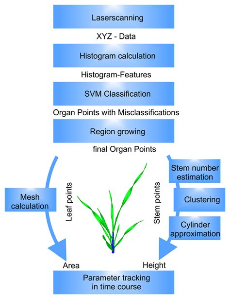 Automated Analysis of Barley Organs Using 3D Laser Scanning: An ...