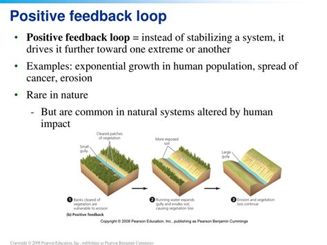 PPT - This lecture will help you understand: PowerPoint Presentation, free download - ID:1014352