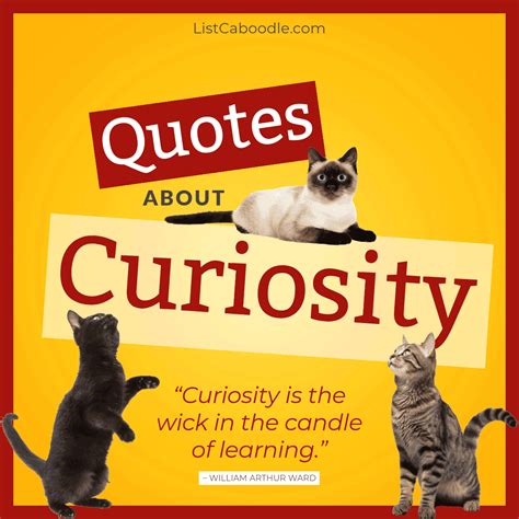60+ Quotes About Curiosity (for Inquisitive Minds!)