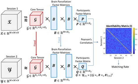 Functional Connectome Fingerprinting Through Tucker Tensor Decomposition
