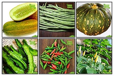 Creative Farmer Best Combo Combo Vegetable Seeds : Cowpea (Vj), Cowpea ...