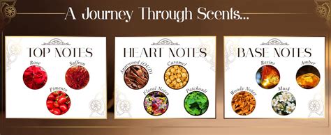 Adilqadri Shanaya Attar for Men & Women | Newly Launched Arabic ...