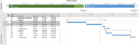 Image result for Microsoft Project Schedule Update Progress
