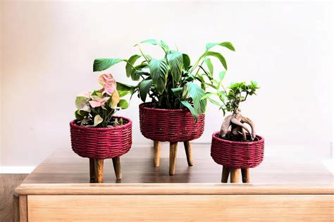MAAZ COLLECTIONS Seagrass Planter Stands for Living Room Home Garden ...