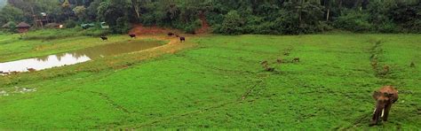 JUNGLE RETREAT WAYANAD (Thirunelly) - Ranch Reviews, Photos, Rate ...