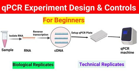 qPCR Method 的图像结果