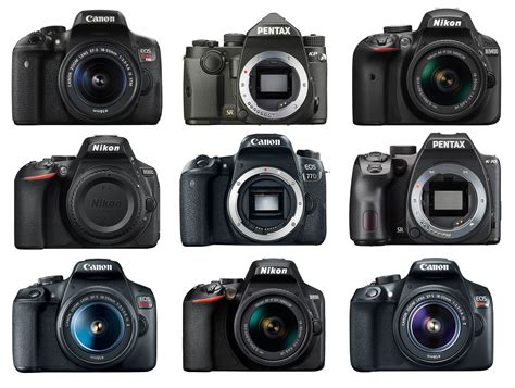 Canon Camera DSLR Models 的图像结果