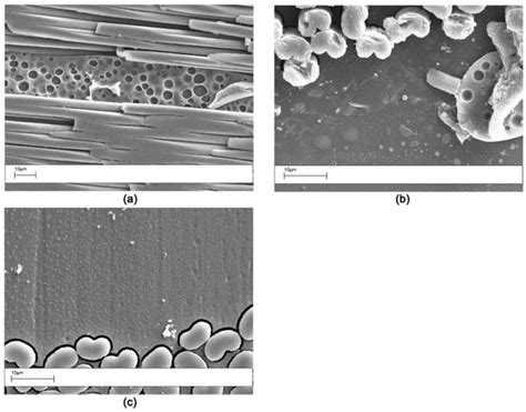 Interlaminar Toughening of Epoxy Carbon Fiber Reinforced Laminates ...
