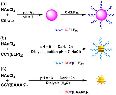 Facile Synthesis of Peptide-Conjugated Gold Nanoclusters with Different ...